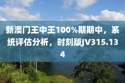 新澳門王中王100%期期中，系統(tǒng)評估分析，時刻版JV315.134