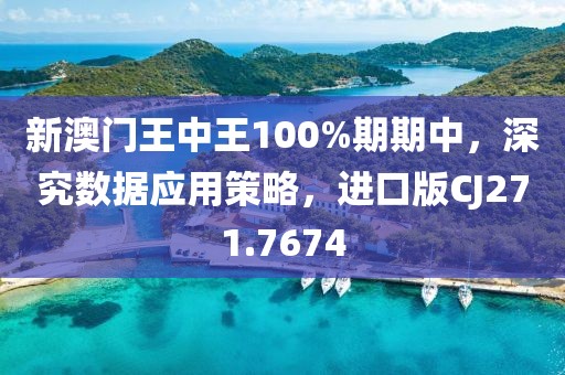 新澳門(mén)王中王100%期期中，深究數(shù)據(jù)應(yīng)用策略，進(jìn)口版CJ271.7674