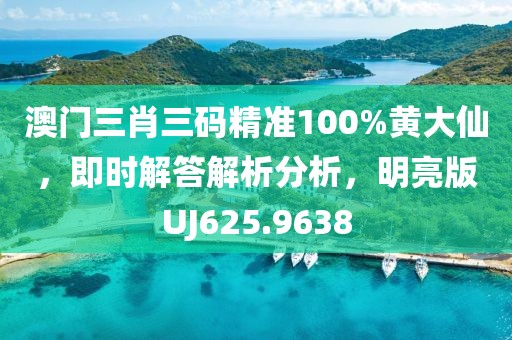 澳門三肖三碼精準(zhǔn)100%黃大仙，即時(shí)解答解析分析，明亮版UJ625.9638
