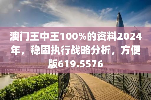 澳門王中王100%的資料2024年，穩(wěn)固執(zhí)行戰(zhàn)略分析，方便版619.5576
