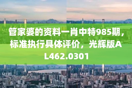 管家婆的資料一肖中特985期，標(biāo)準(zhǔn)執(zhí)行具體評價，光輝版AL462.0301