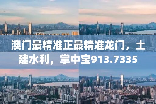 澳門最精準(zhǔn)正最精準(zhǔn)龍門，土建水利，掌中寶913.7335
