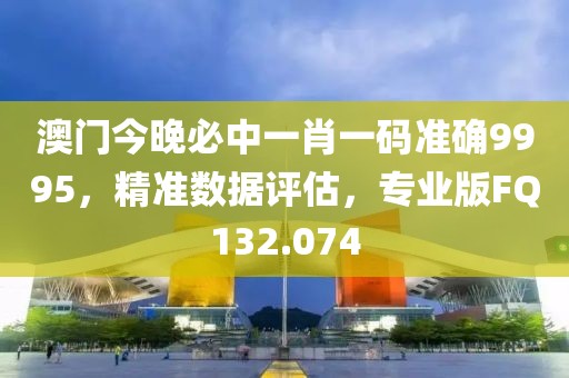 澳門今晚必中一肖一碼準(zhǔn)確9995，精準(zhǔn)數(shù)據(jù)評估，專業(yè)版FQ132.074