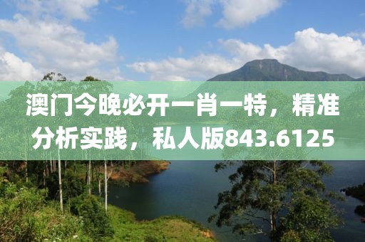 澳門今晚必開一肖一特，精準分析實踐，私人版843.6125