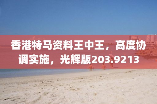 香港特馬資料王中王，高度協(xié)調(diào)實施，光輝版203.9213