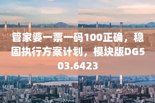 管家婆一票一碼100正確，穩(wěn)固執(zhí)行方案計(jì)劃，模塊版DG503.6423