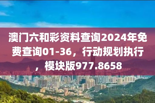 澳門六和彩資料查詢2024年免費查詢01-36，行動規(guī)劃執(zhí)行，模塊版977.8658