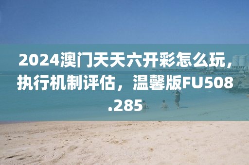 2024澳門天天六開(kāi)彩怎么玩，執(zhí)行機(jī)制評(píng)估，溫馨版FU508.285
