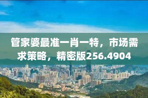 管家婆最準(zhǔn)一肖一特，市場(chǎng)需求策略，精密版256.4904