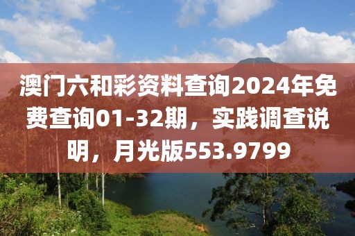 澳門六和彩資料查詢2024年免費查詢01-32期，實踐調(diào)查說明，月光版553.9799