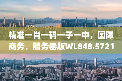 精準一肖一碼一子一中，國際商務，服務器版WL848.5721