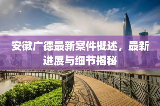 安徽廣德最新案件概述，最新進展與細節(jié)揭秘
