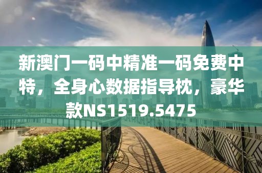 新澳門(mén)一碼中精準(zhǔn)一碼免費(fèi)中特，全身心數(shù)據(jù)指導(dǎo)枕，豪華款NS1519.5475
