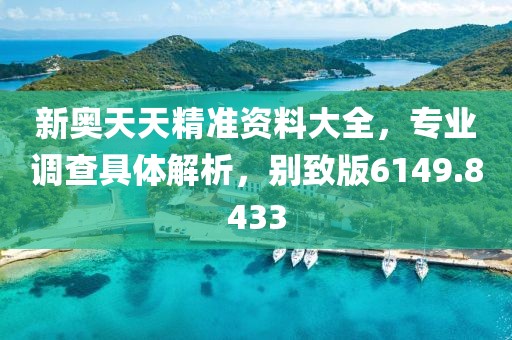 新奧天天精準(zhǔn)資料大全，專業(yè)調(diào)查具體解析，別致版6149.8433