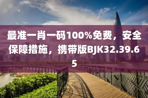最準一肖一碼100%免費，安全保障措施，攜帶版BJK32.39.65