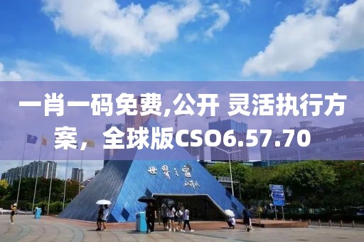一肖一碼免費,公開 靈活執(zhí)行方案，全球版CSO6.57.70
