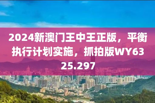 2024新澳門(mén)王中王正版，平衡執(zhí)行計(jì)劃實(shí)施，抓拍版WY6325.297