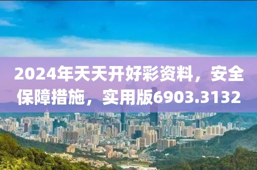 2024年天天開好彩資料，安全保障措施，實用版6903.3132