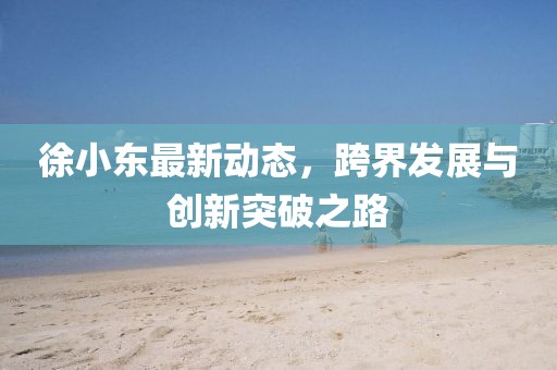 徐小東最新動態(tài)，跨界發(fā)展與創(chuàng)新突破之路