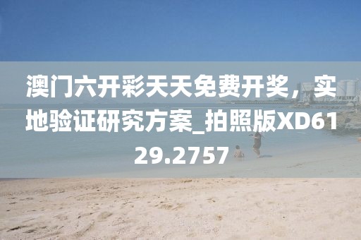 澳門六開彩天天免費開獎，實地驗證研究方案_拍照版XD6129.2757