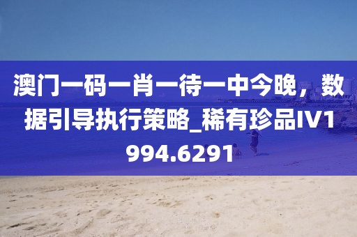 澳門一碼一肖一待一中今晚，數(shù)據(jù)引導(dǎo)執(zhí)行策略_稀有珍品IV1994.6291