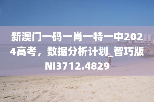 新澳門一碼一肖一特一中2024高考，數(shù)據(jù)分析計(jì)劃_智巧版NI3712.4829