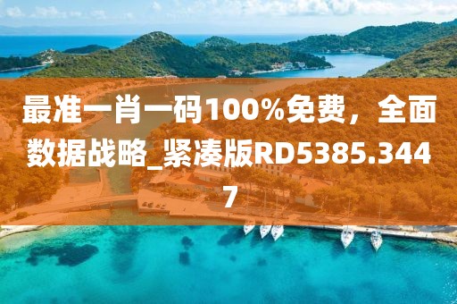 最準(zhǔn)一肖一碼100%免費，全面數(shù)據(jù)戰(zhàn)略_緊湊版RD5385.3447