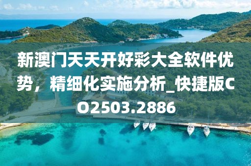 新澳門天天開好彩大全軟件優(yōu)勢，精細化實施分析_快捷版CO2503.2886