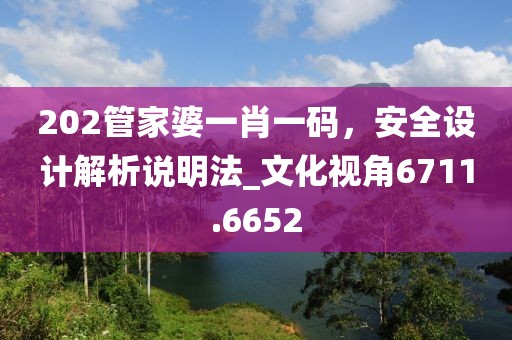 202管家婆一肖一碼，安全設(shè)計(jì)解析說(shuō)明法_文化視角6711.6652