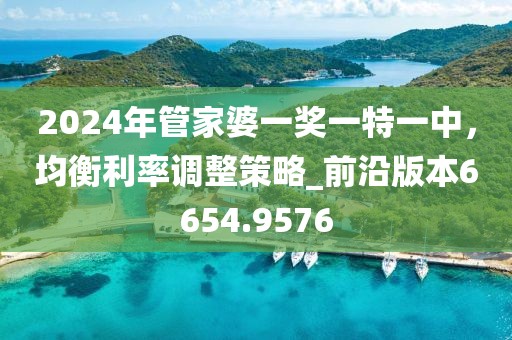 2024年管家婆一獎一特一中，均衡利率調(diào)整策略_前沿版本6654.9576