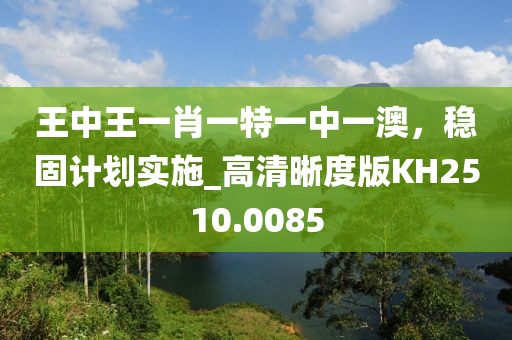 王中王一肖一特一中一澳，穩(wěn)固計劃實施_高清晰度版KH2510.0085