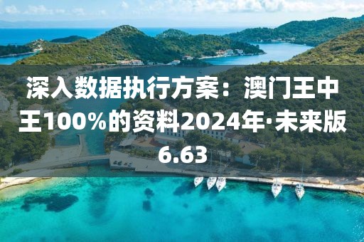 深入數(shù)據(jù)執(zhí)行方案：澳門王中王100%的資料2024年·未來版6.63