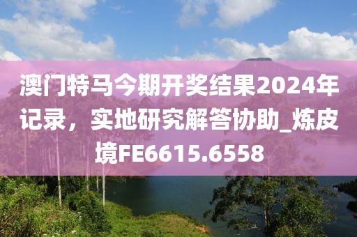 澳門特馬今期開獎結(jié)果2024年記錄，實地研究解答協(xié)助_煉皮境FE6615.6558