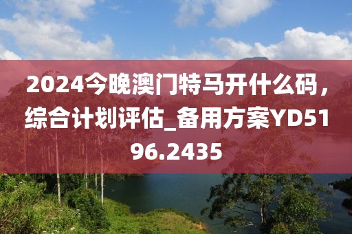 2024今晚澳門特馬開什么碼，綜合計劃評估_備用方案YD5196.2435