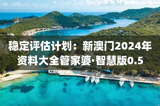 穩(wěn)定評(píng)估計(jì)劃：新澳門2024年資料大全管家婆·智慧版0.5