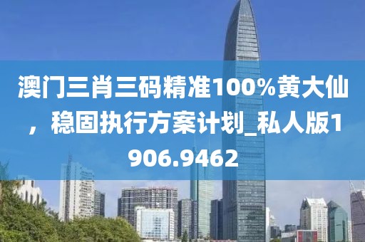 澳門(mén)三肖三碼精準(zhǔn)100%黃大仙，穩(wěn)固執(zhí)行方案計(jì)劃_私人版1906.9462