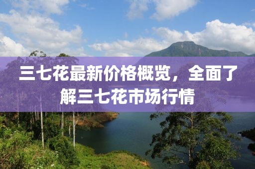 三七花最新價(jià)格概覽，全面了解三七花市場(chǎng)行情