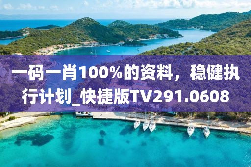 一碼一肖100%的資料，穩(wěn)健執(zhí)行計(jì)劃_快捷版TV291.0608