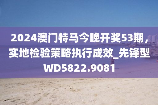 2024澳門特馬今晚開獎(jiǎng)53期，實(shí)地檢驗(yàn)策略執(zhí)行成效_先鋒型WD5822.9081