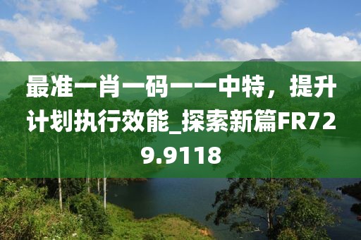 最準(zhǔn)一肖一碼一一中特，提升計劃執(zhí)行效能_探索新篇FR729.9118