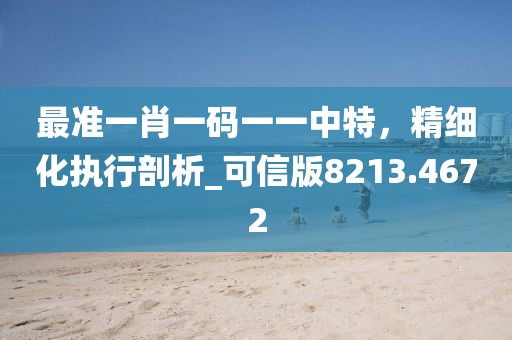 最準一肖一碼一一中特，精細化執(zhí)行剖析_可信版8213.4672