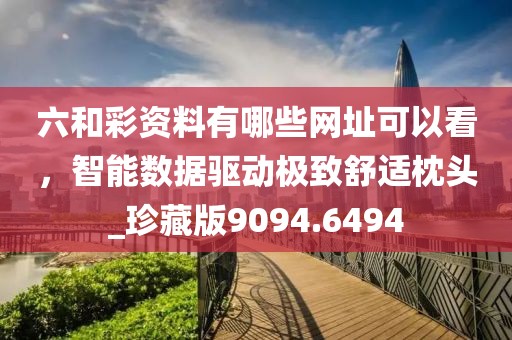 六和彩資料有哪些網址可以看，智能數據驅動極致舒適枕頭_珍藏版9094.6494