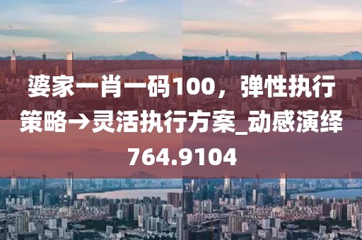 婆家一肖一碼100，彈性執(zhí)行策略→靈活執(zhí)行方案_動(dòng)感演繹764.9104