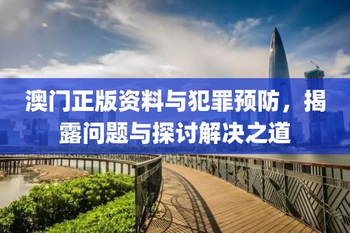 澳門正版資料與犯罪預(yù)防，揭露問題與探討解決之道