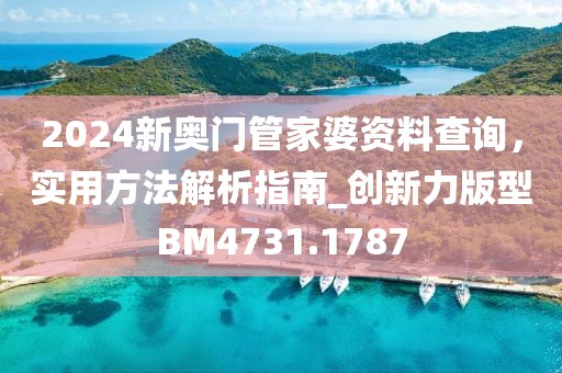 2024新奧門管家婆資料查詢，實用方法解析指南_創(chuàng)新力版型BM4731.1787