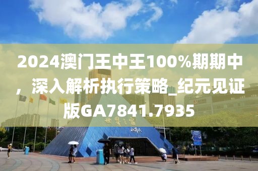 2024澳門王中王100%期期中，深入解析執(zhí)行策略_紀元見證版GA7841.7935