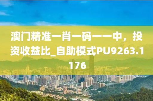 澳門(mén)精準(zhǔn)一肖一碼一一中，投資收益比_自助模式PU9263.1176