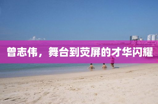 曾志偉，舞臺到熒屏的才華閃耀