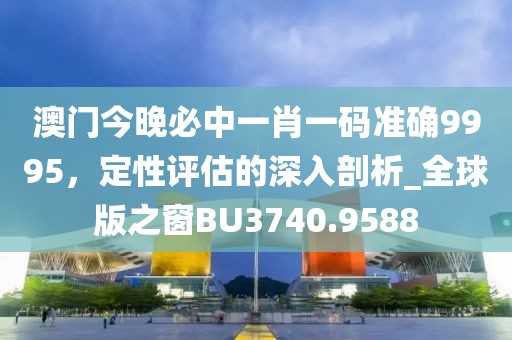 澳門今晚必中一肖一碼準確9995，定性評估的深入剖析_全球版之窗BU3740.9588