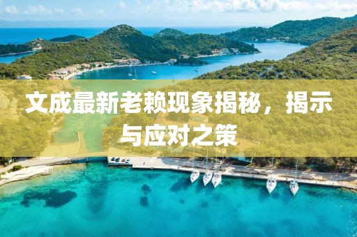 文成最新老賴現(xiàn)象揭秘，揭示與應(yīng)對之策